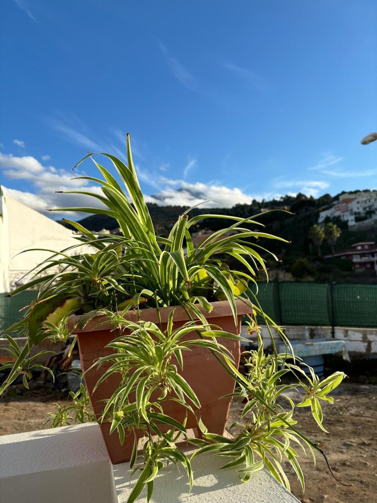 La Trinidad Konuk evi La Guancha Dış mekan fotoğraf
